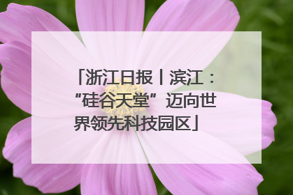 浙江日报丨滨江：“硅谷天堂”迈向世界领先科技园区