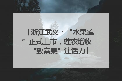 浙江武义：“水果莲”正式上市，莲农增收“致富果”注活力