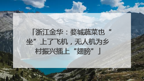浙江金华：婺城蔬菜也“坐”上了飞机，无人机为乡村振兴插上“翅膀”