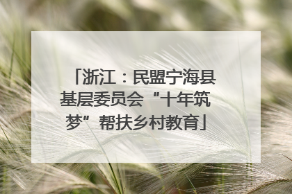 浙江：民盟宁海县基层委员会“十年筑梦”帮扶乡村教育