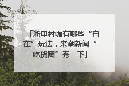 浙里村咖有哪些“自在”玩法，来潮新闻“吃货圈”秀一下
