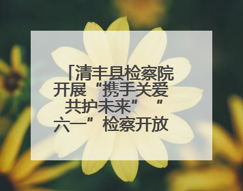 清丰县检察院开展“携手关爱 共护未来”“六一”检察开放日活动