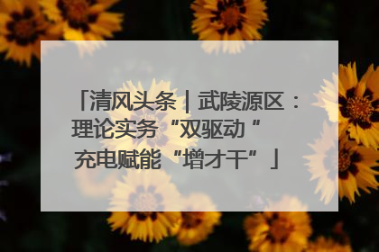 清风头条｜武陵源区：理论实务“双驱动 ” 充电赋能“增才干”