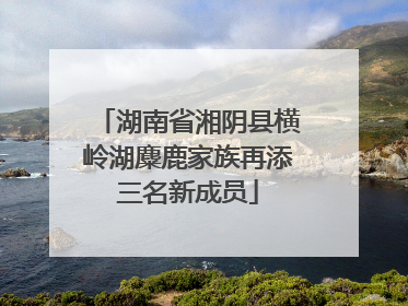 湖南省湘阴县横岭湖麋鹿家族再添三名新成员