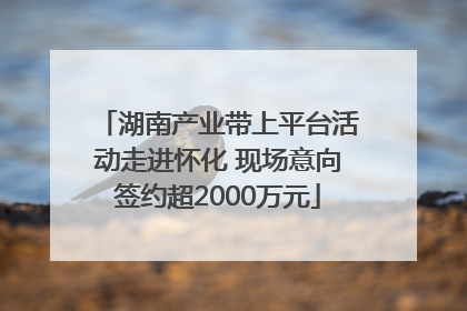 湖南产业带上平台活动走进怀化 现场意向签约超2000万元