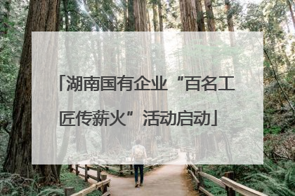 湖南国有企业“百名工匠传薪火”活动启动