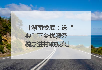 湖南娄底：送“典”下乡优服务 税惠进村助振兴