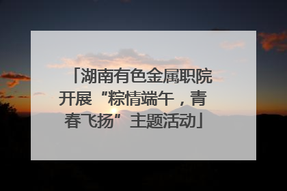 湖南有色金属职院开展“粽情端午，青春飞扬”主题活动