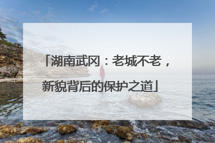 湖南武冈：老城不老，新貌背后的保护之道