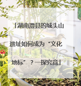 湖南澧县的城头山遗址如何成为“文化地标”？一探究竟