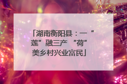 湖南衡阳县：一“莲”融三产 “荷”美乡村兴业富民