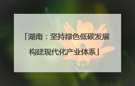 湖南：坚持绿色低碳发展 构建现代化产业体系