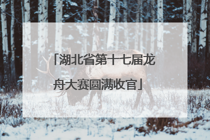 湖北省第十七届龙舟大赛圆满收官