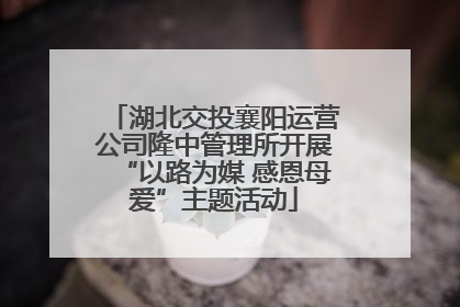 湖北交投襄阳运营公司隆中管理所开展“以路为媒 感恩母爱”主题活动
