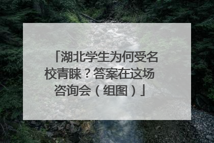 湖北学生为何受名校青睐？答案在这场咨询会（组图）