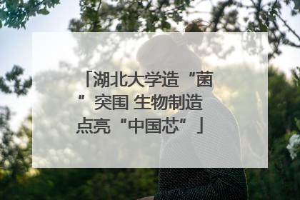 湖北大学造“菌”突围 生物制造点亮“中国芯”