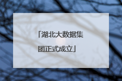 湖北大数据集团正式成立