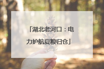 湖北老河口：电力护航夏粮归仓