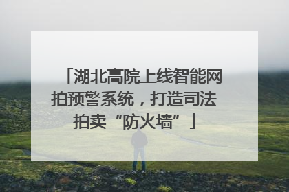 湖北高院上线智能网拍预警系统，打造司法拍卖“防火墙”