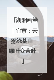 湖湘画卷｜宜章：云雾绕茶山 绿叶变金叶