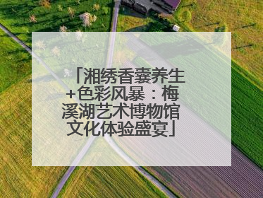 湘绣香囊养生+色彩风暴：梅溪湖艺术博物馆文化体验盛宴