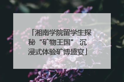 湘南学院留学生探秘“矿物王国” 沉浸式体验矿博盛宴