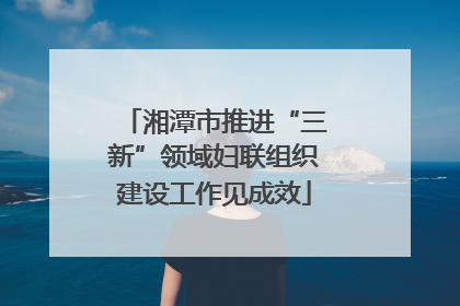 湘潭市推进“三新”领域妇联组织建设工作见成效