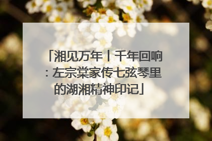 湘见万年丨千年回响：左宗棠家传七弦琴里的湖湘精神印记