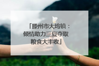 滕州市大坞镇：倾情助力三夏夺取粮食大丰收