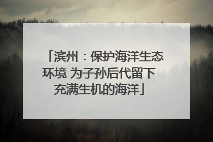 滨州：保护海洋生态环境 为子孙后代留下充满生机的海洋