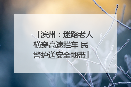 滨州：迷路老人横穿高速拦车 民警护送安全地带