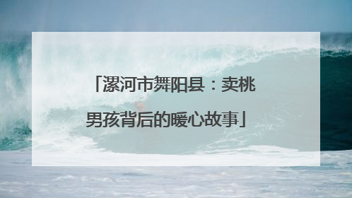 漯河市舞阳县：卖桃男孩背后的暖心故事
