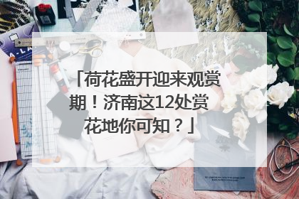 荷花盛开迎来观赏期！济南这12处赏花地你可知？