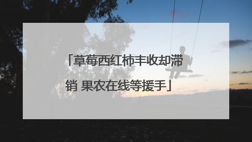 草莓西红柿丰收却滞销 果农在线等援手