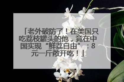 老外破防了！在美国只吃荔枝罐头的他，竟在中国实现“鲜荔自由”：8元一斤敞开吃！