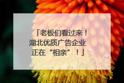 老板们看过来！湖北优质广告企业正在“相亲”！