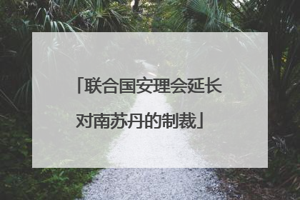 联合国安理会延长对南苏丹的制裁