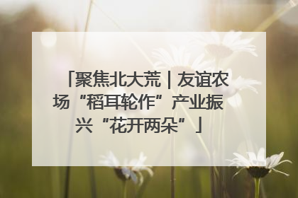 聚焦北大荒｜友谊农场“稻耳轮作”产业振兴“花开两朵”