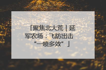 聚焦北大荒｜延军农场：飞防出击 “一喷多效”