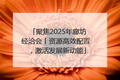 聚焦2025年廊坊经洽会丨资源高效配置，激活发展新动能