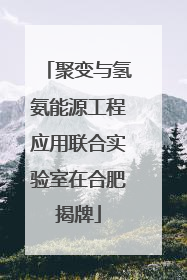 聚变与氢氨能源工程应用联合实验室在合肥揭牌