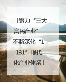 聚力“三大富民产业” 不断深化“1131”现代化产业体系