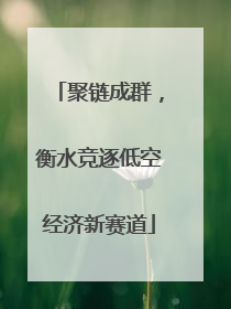 聚链成群，衡水竞逐低空经济新赛道