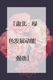 肃北：绿色发展动能强劲
