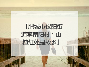 肥城市仪阳街道李南阳村：山楂红处是故乡