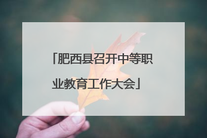 肥西县召开中等职业教育工作大会