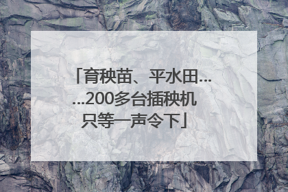 育秧苗、平水田……200多台插秧机只等一声令下