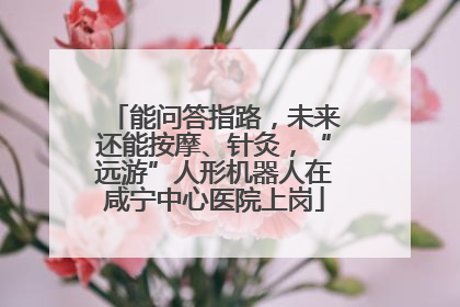 能问答指路，未来还能按摩、针灸，“远游”人形机器人在咸宁中心医院上岗