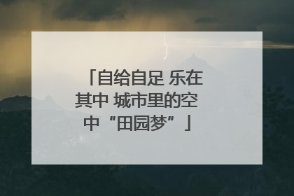 自给自足 乐在其中 城市里的空中“田园梦”