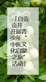 自贡贡井：开展青少年“中医文化启蒙之旅”活动